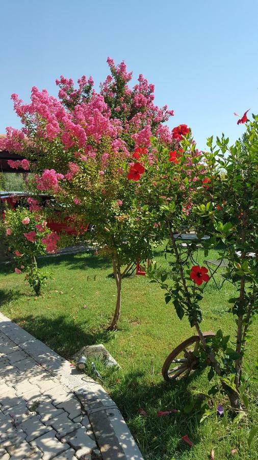 Villa Bade Dalyan Exterior foto